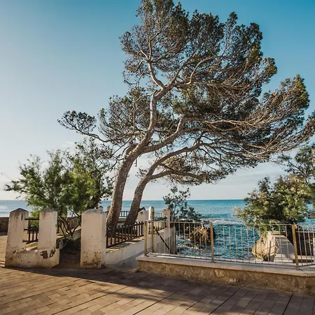 Sa Punta Duplex Cala Ratjada (Mallorca)