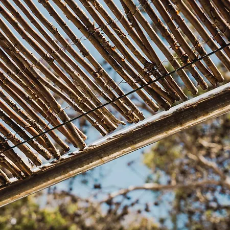 아파트 Sa Punta Duplex 칼라 라트자다